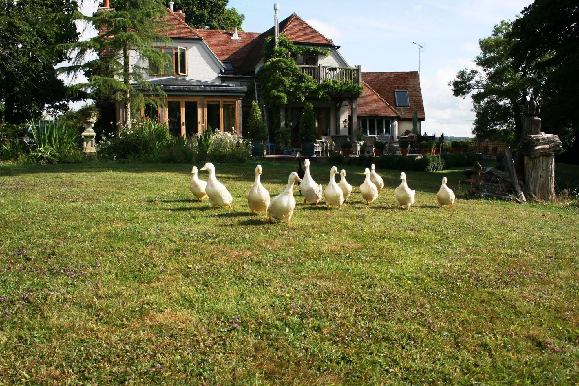 Shoyswell Cottage Hurst Green  Екстериор снимка