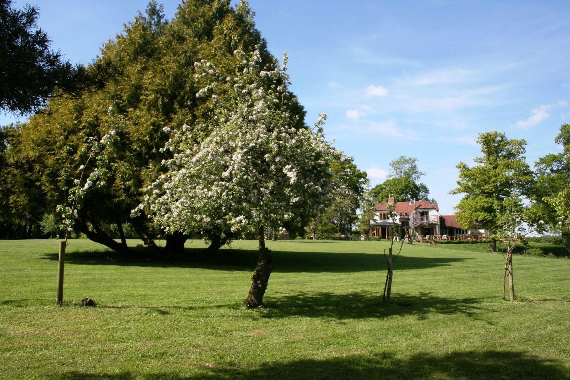 Shoyswell Cottage Hurst Green  Екстериор снимка