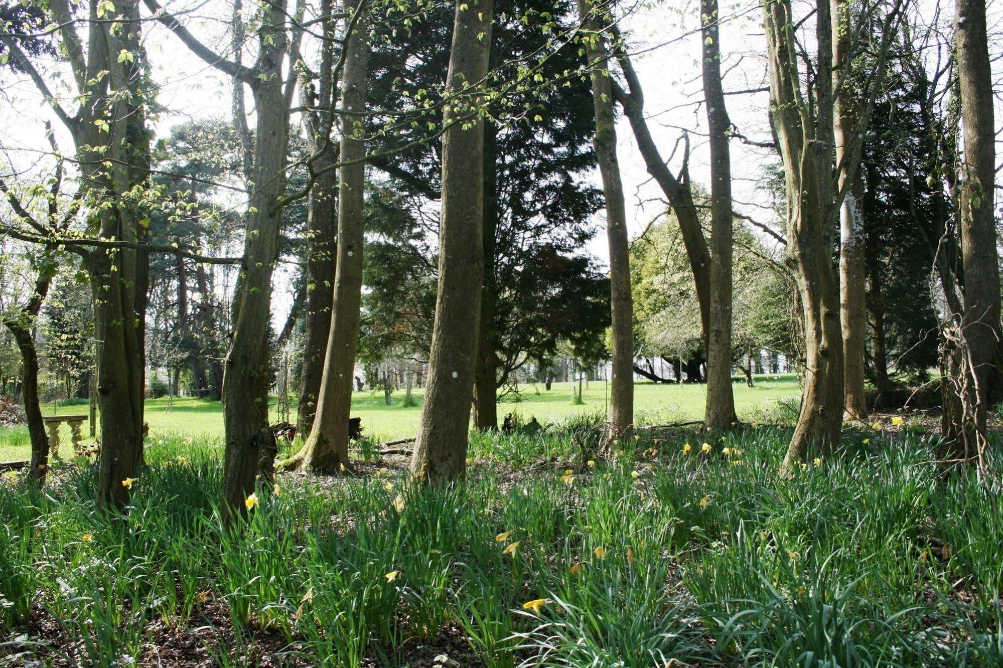 Shoyswell Cottage Hurst Green  Екстериор снимка
